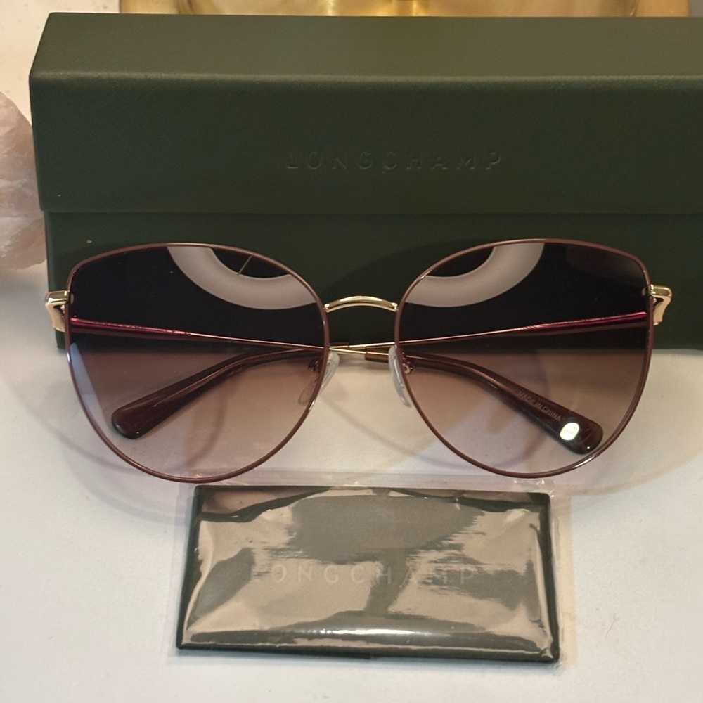 Longchamp Roseau 60mm Sunglasses with Aviator Style